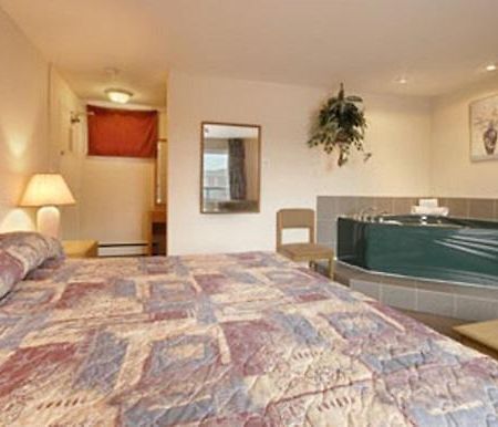 Hotel Super 8 By Wyndham Kingston Chambre photo